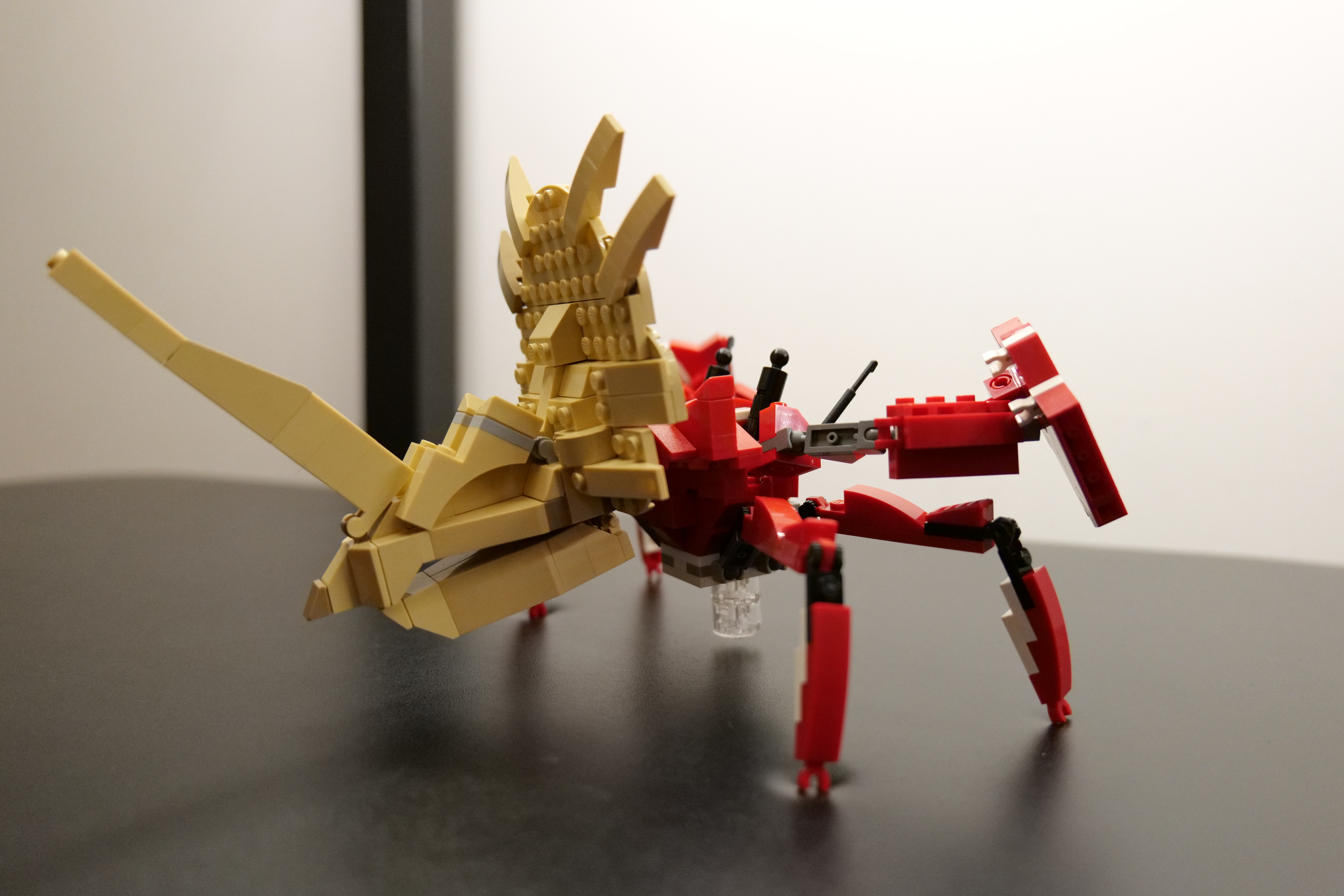 daimyohermitaur.jpg