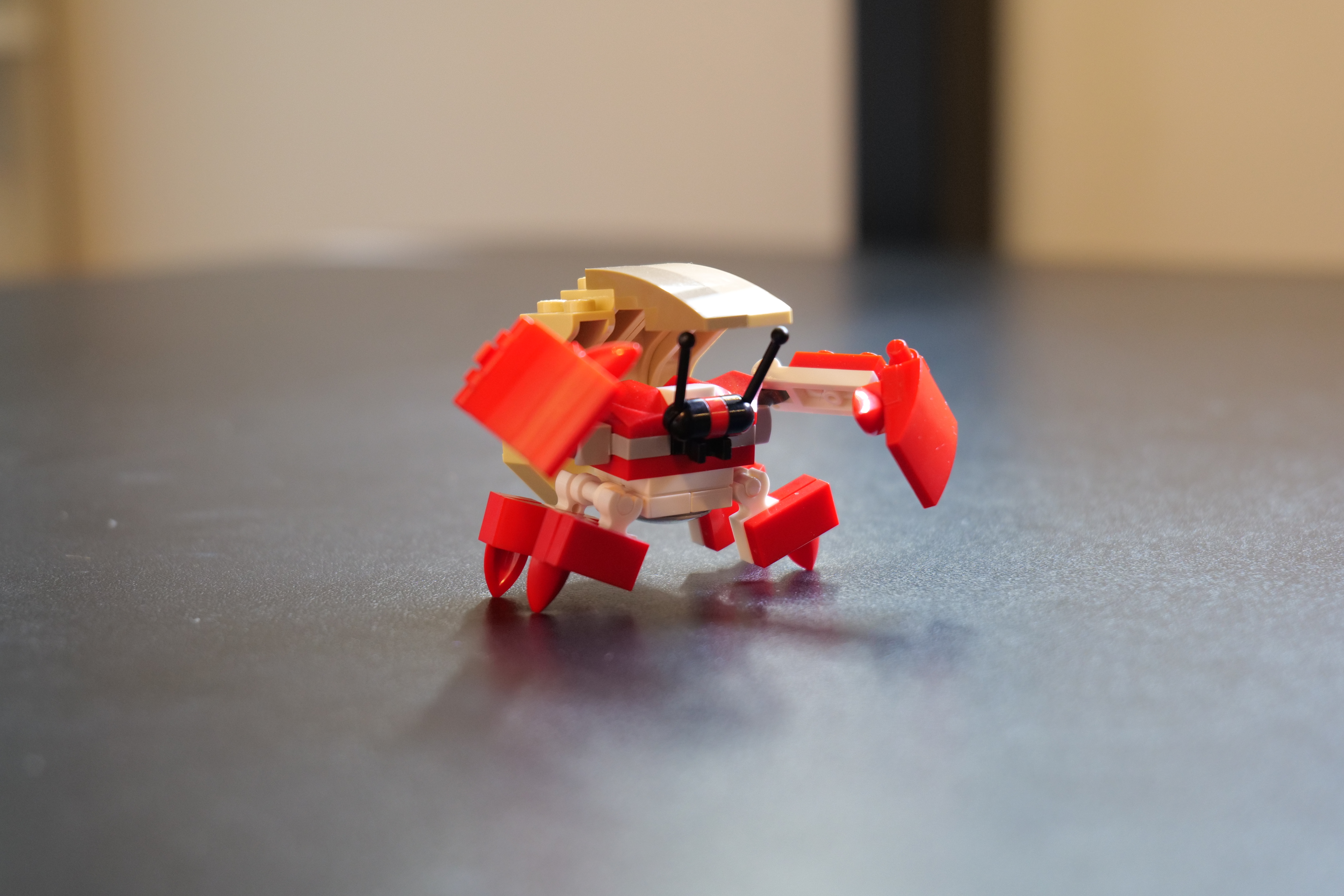 hermitaur.jpg