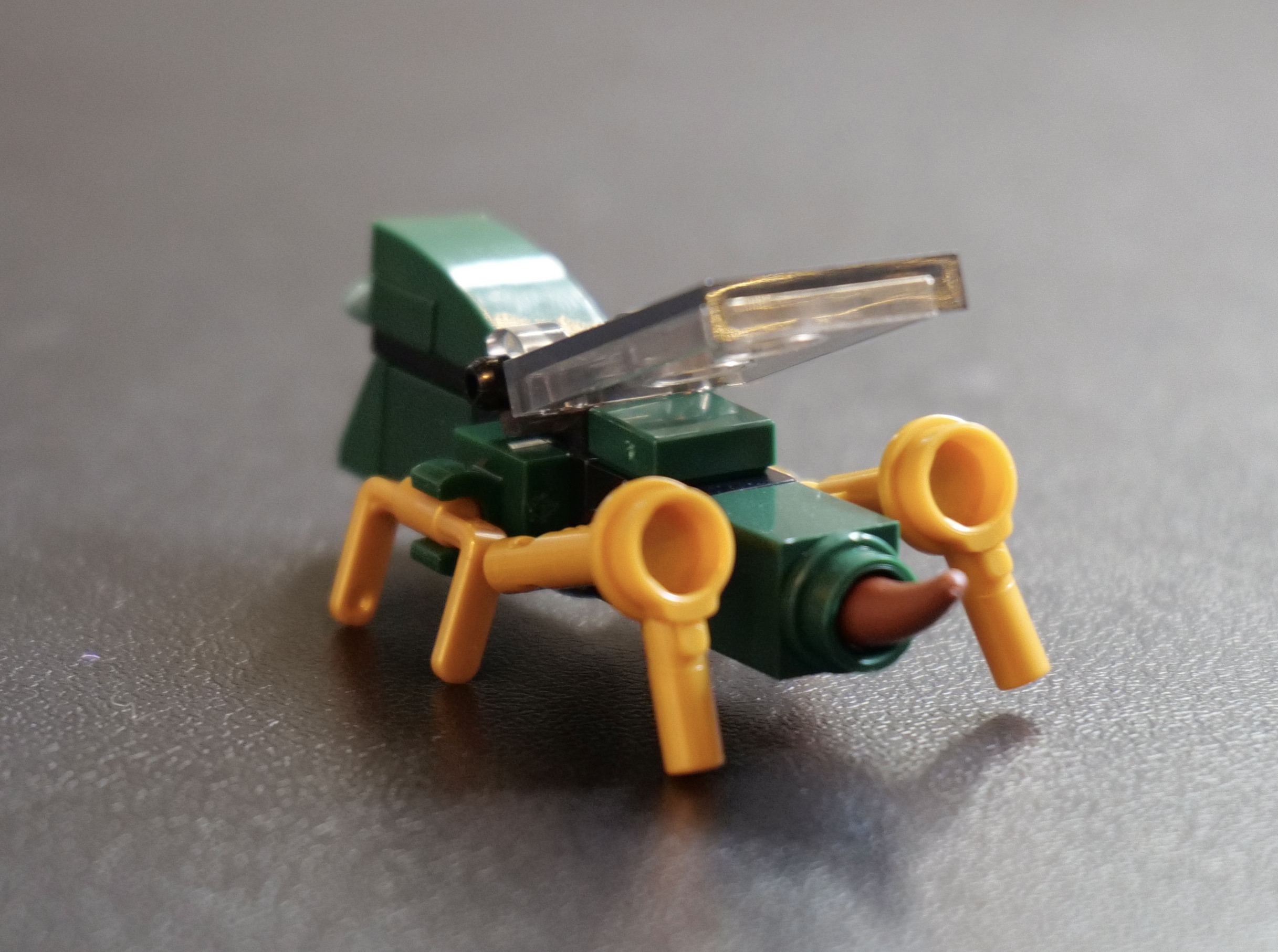 hornetaurback.jpg