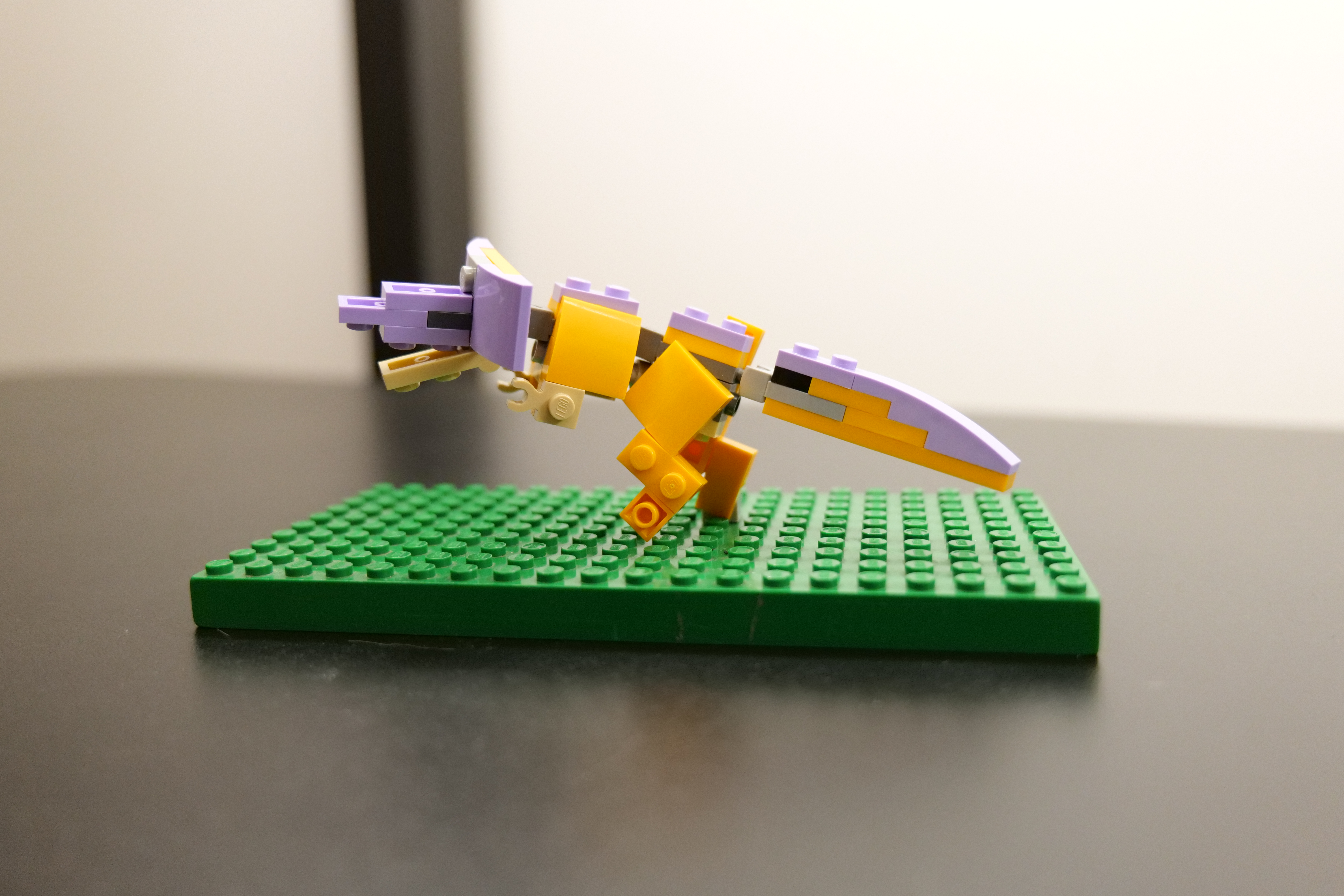 jaggi2.jpg
