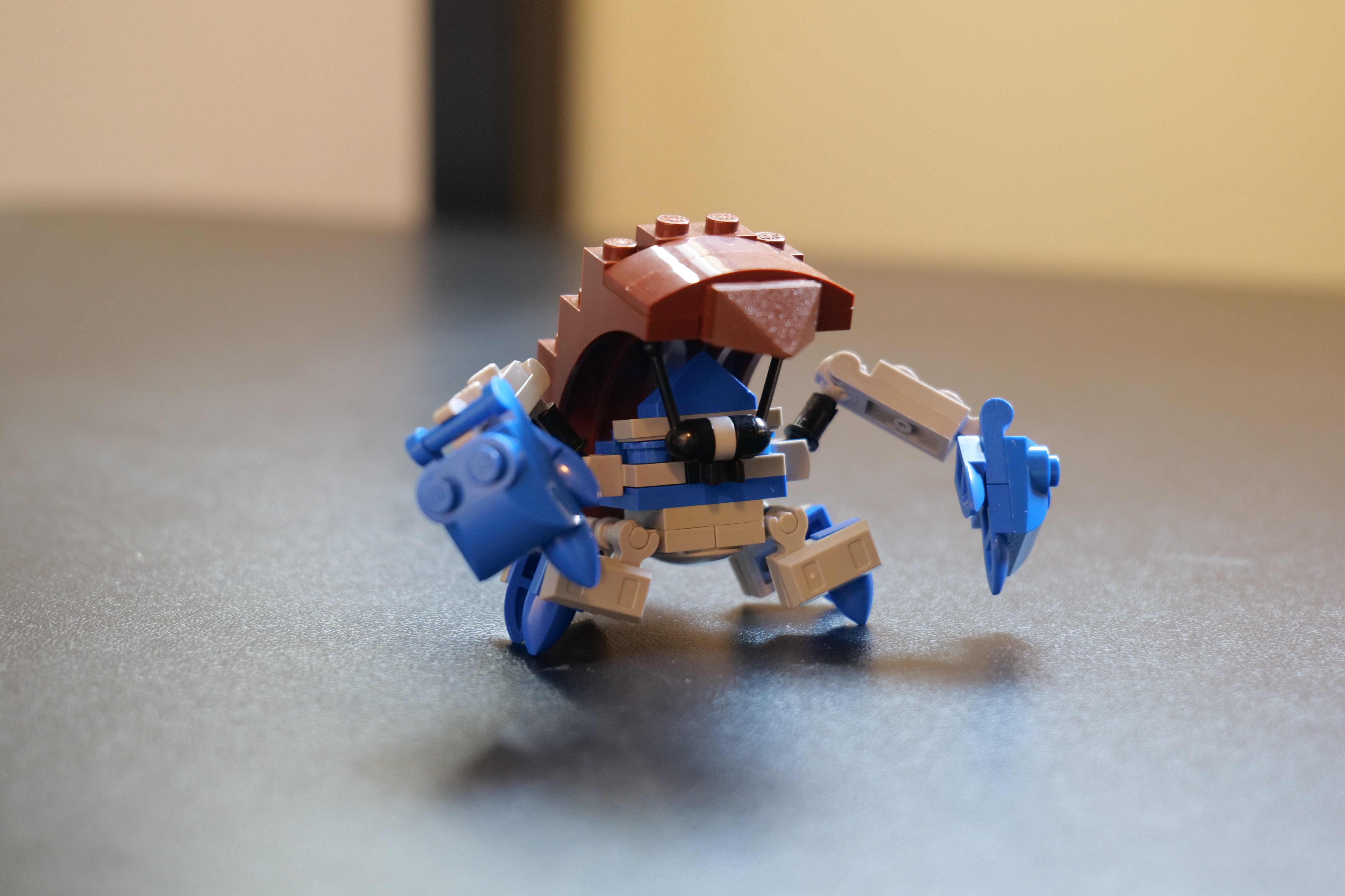 ceanataur.jpg