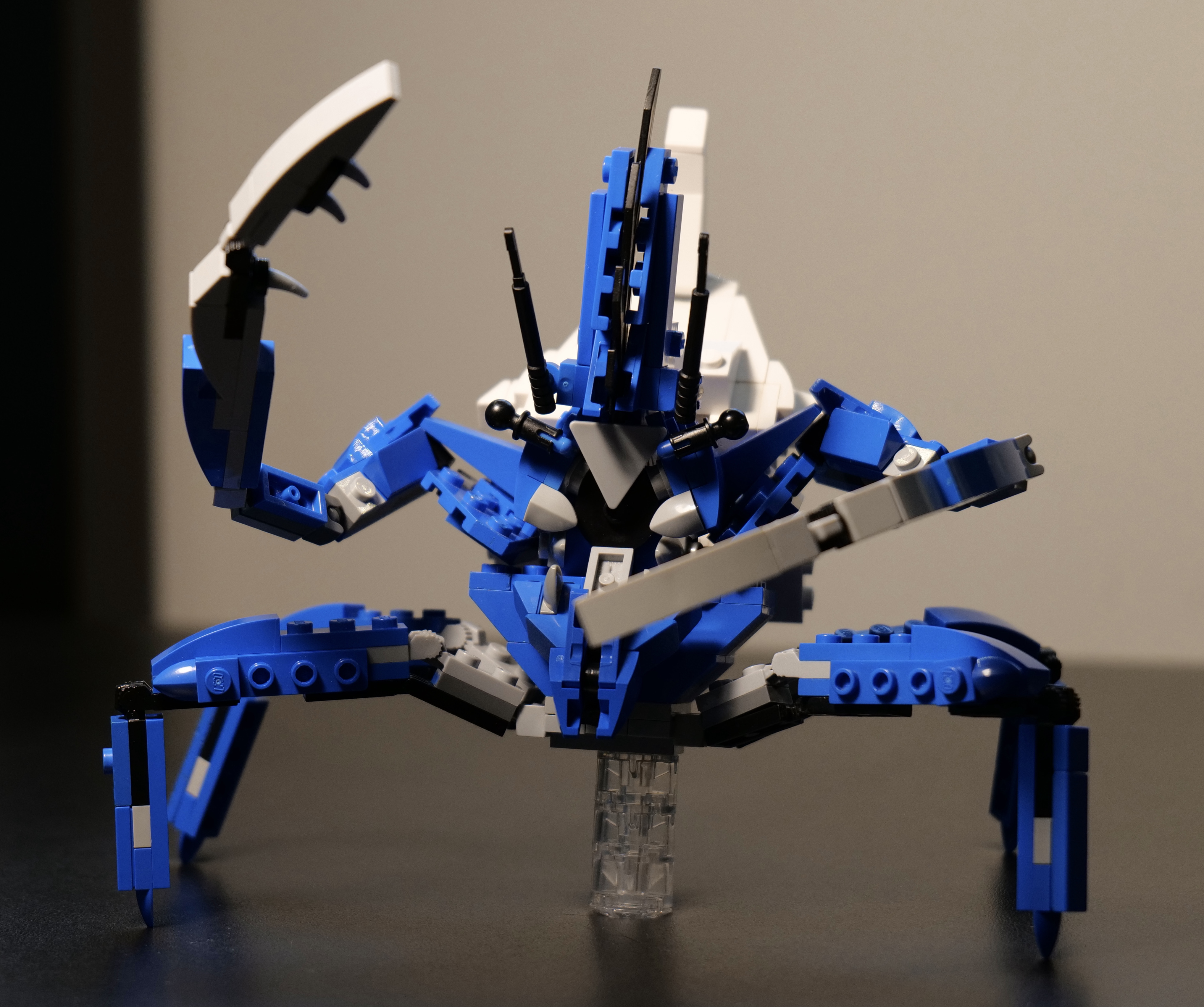 shogun1.jpg