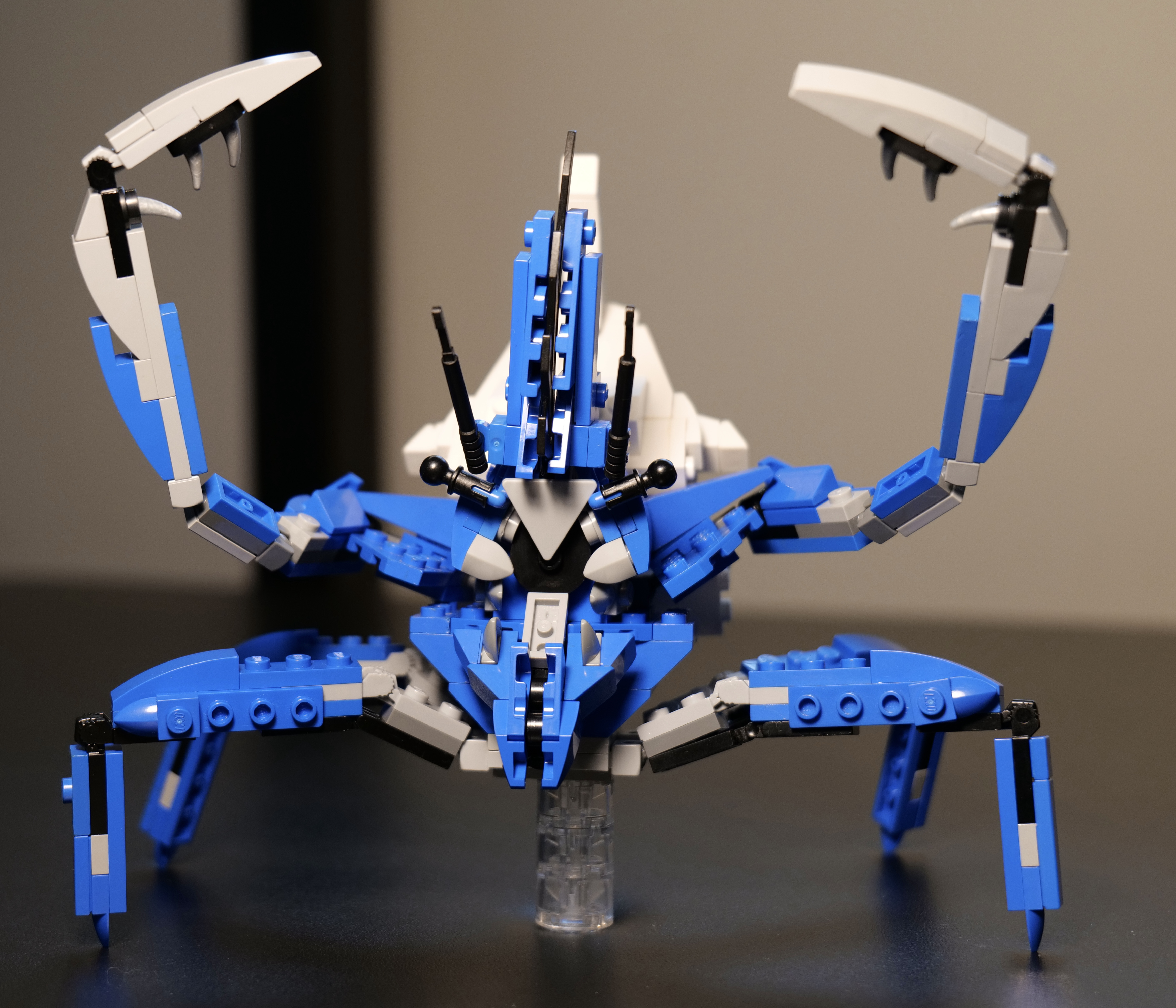shogun3.jpg