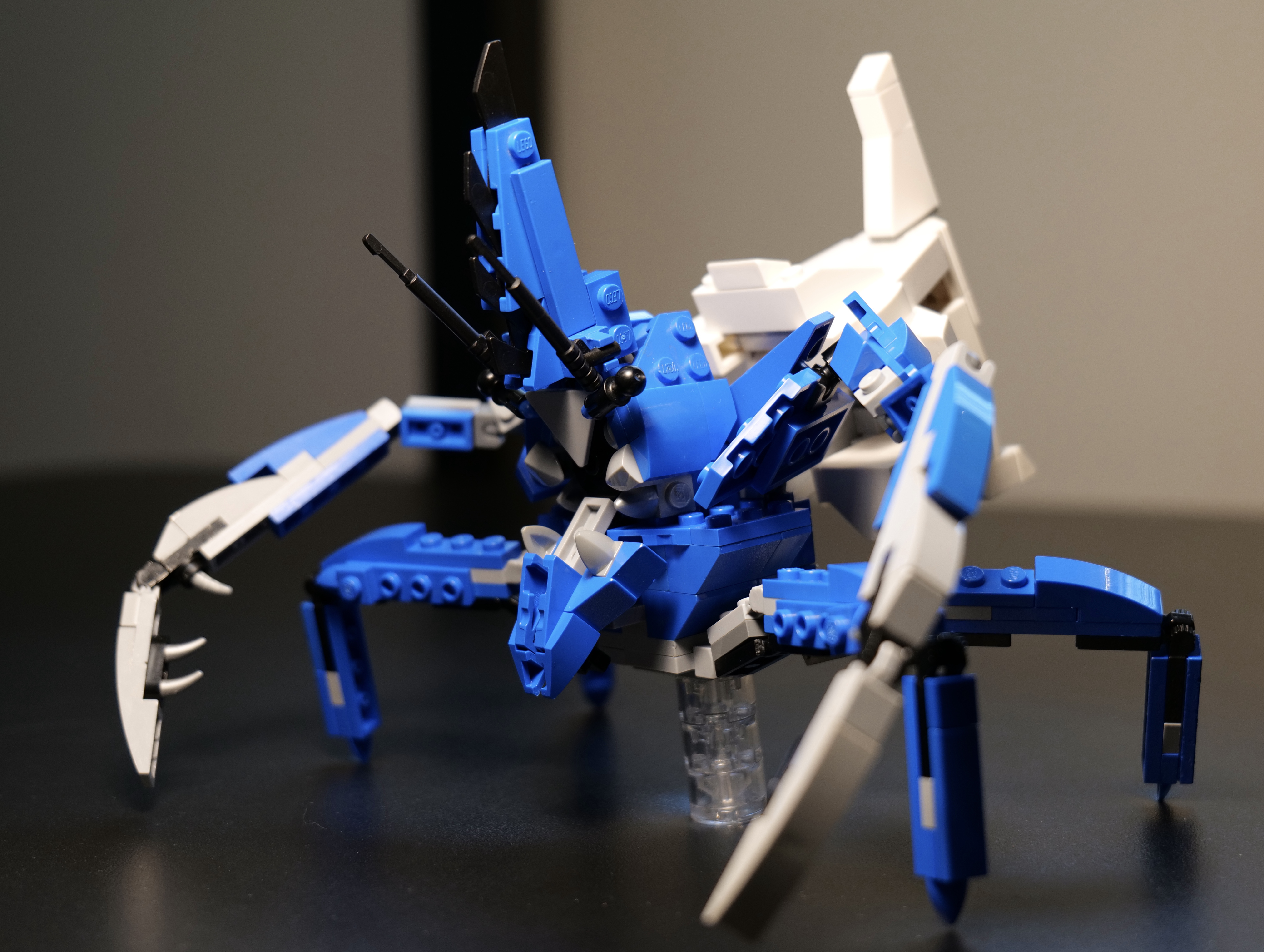 shogun4.jpg