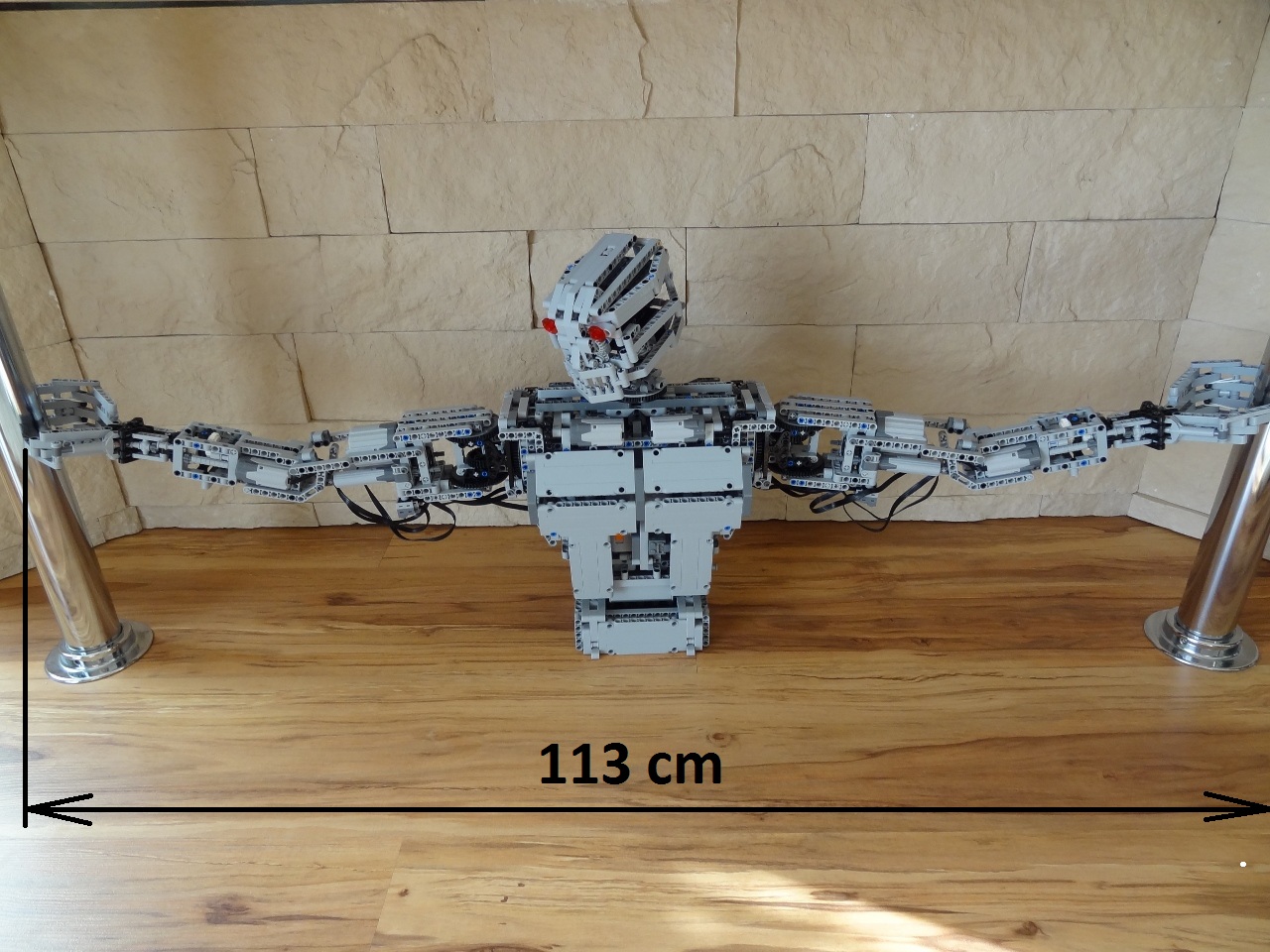 terminator04.jpg