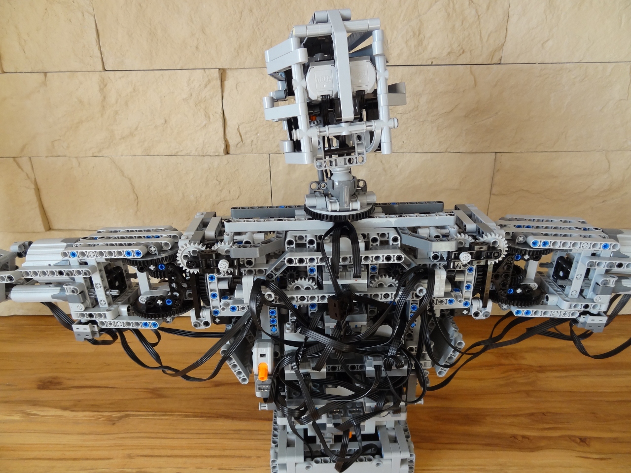 terminator06.jpg