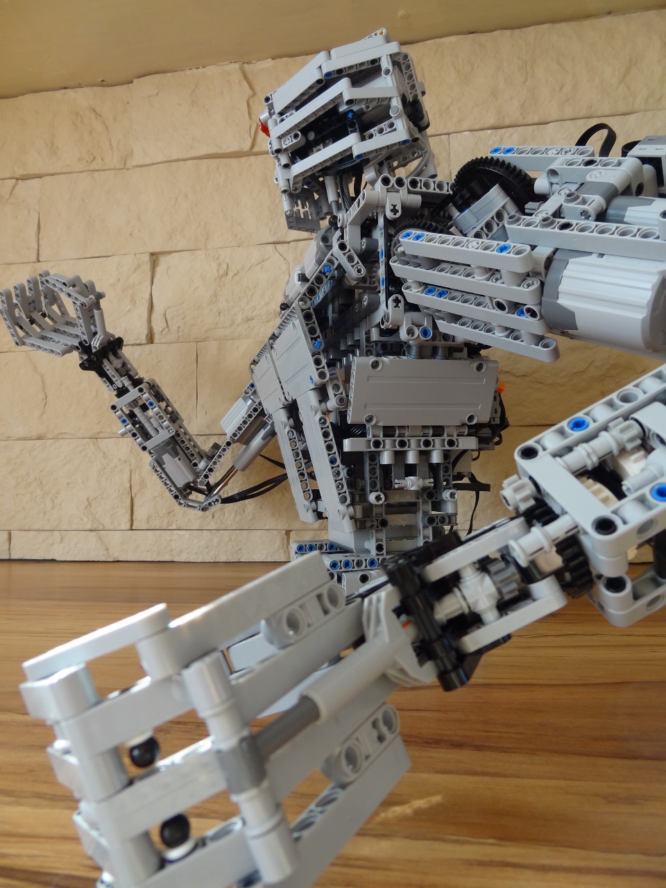 terminator09.jpg
