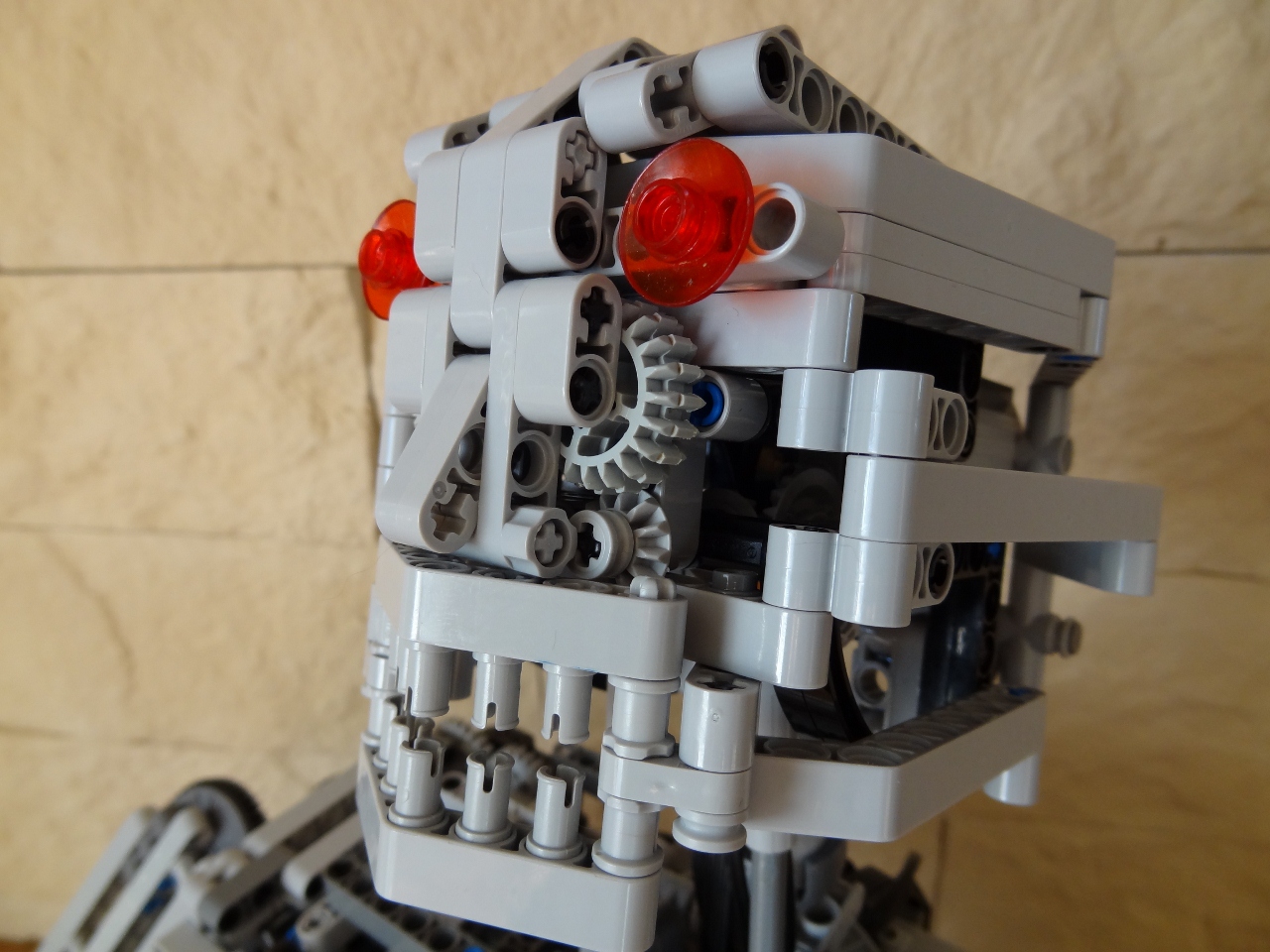 terminator17.jpg