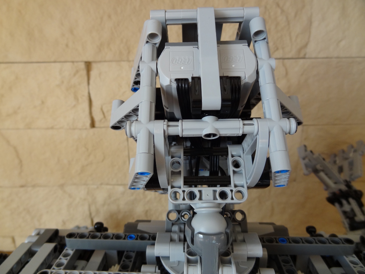terminator19.jpg