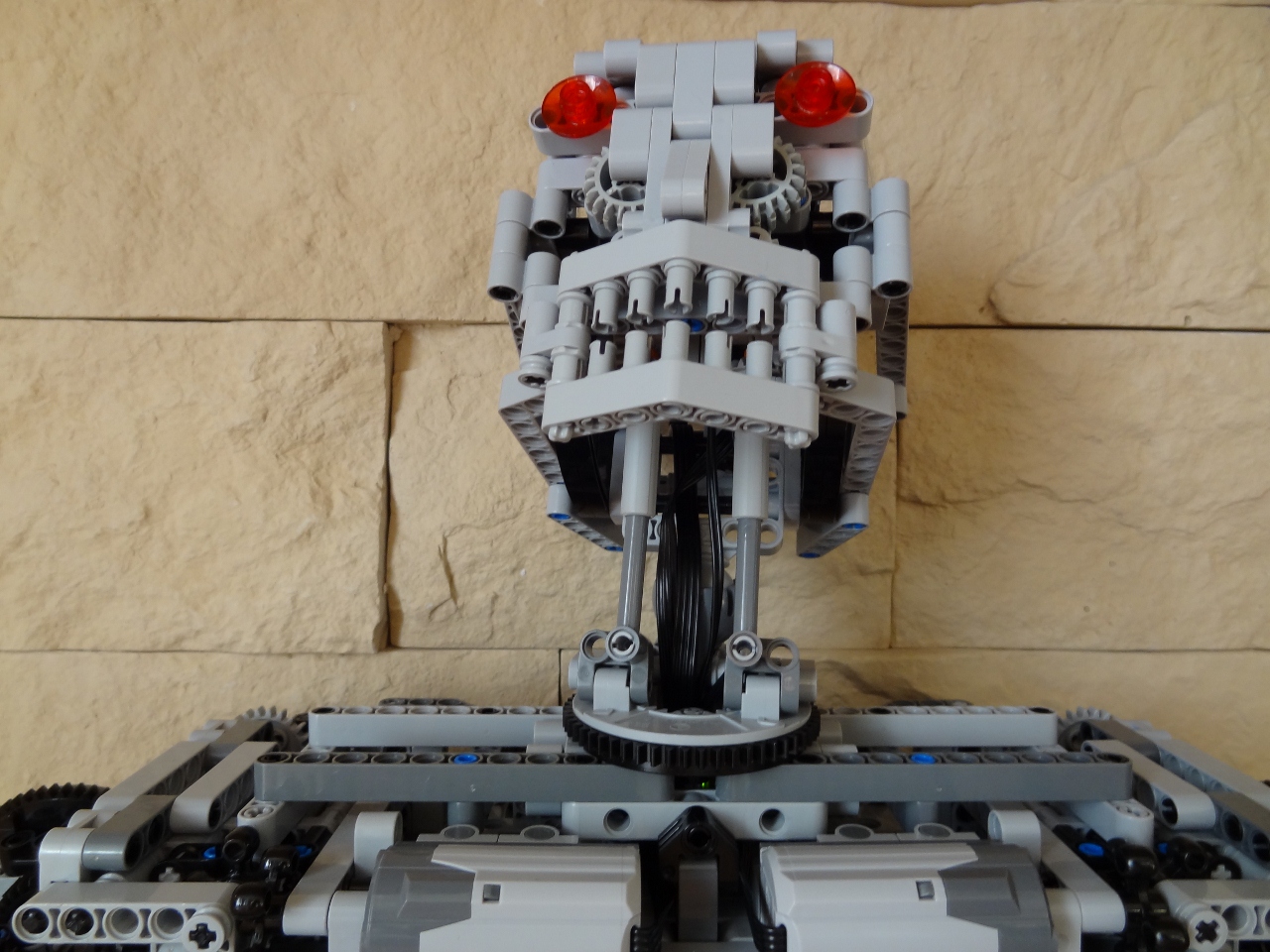 terminator31.jpg
