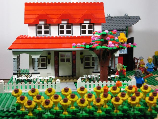 08-house.jpg