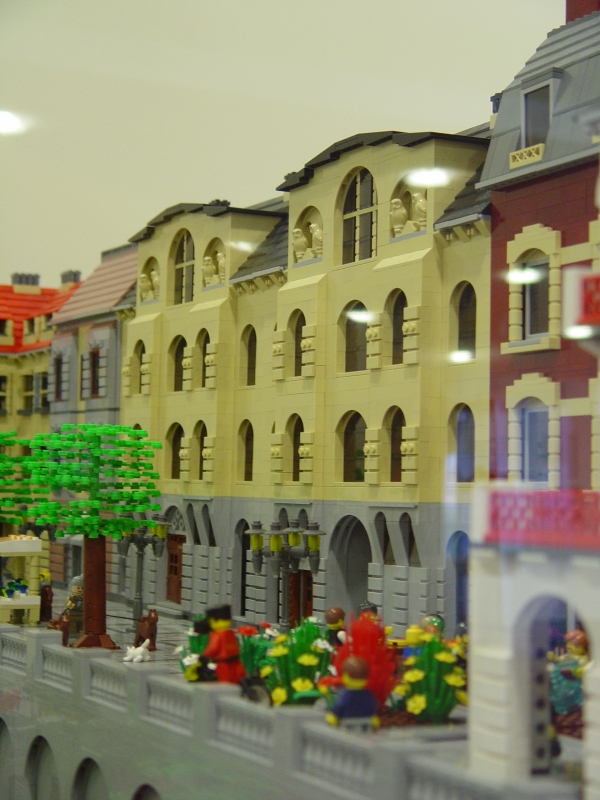 dsc01471.jpg