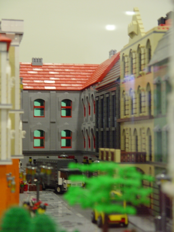 dsc01488.jpg