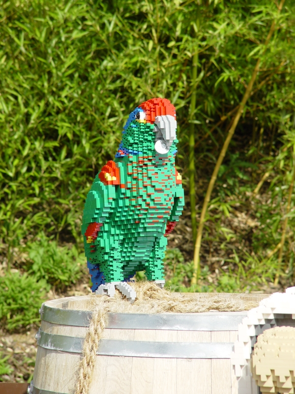 dsc04636.jpg