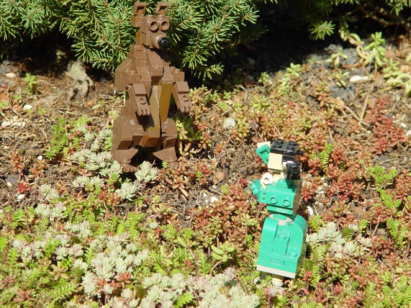 dsc04792.jpg
