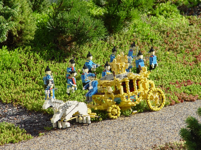 dsc04799.jpg