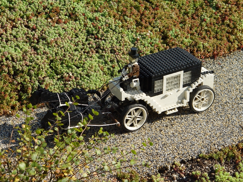 dsc04804.jpg