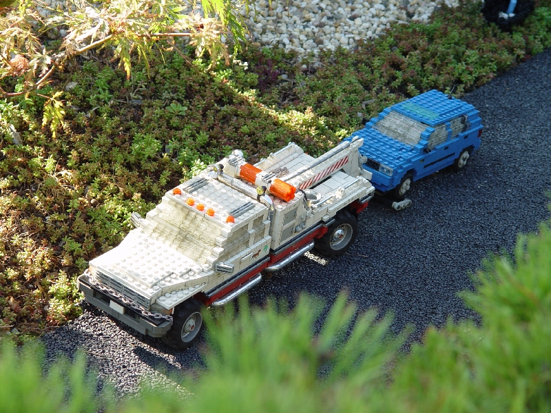 dsc04950.jpg