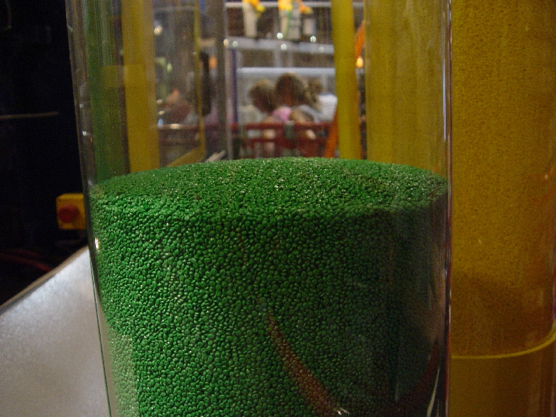 dsc05075.jpg