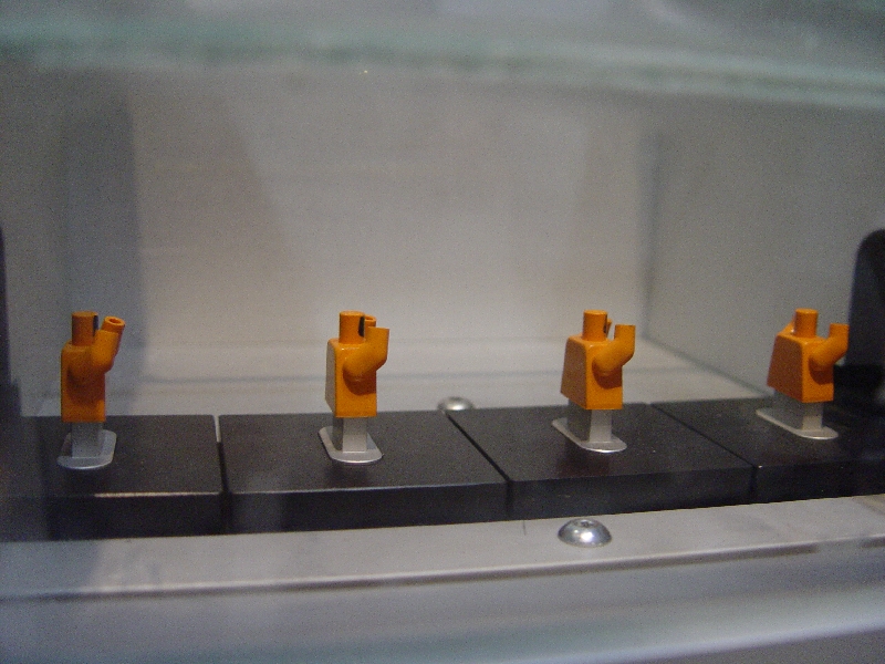 dsc05085.jpg