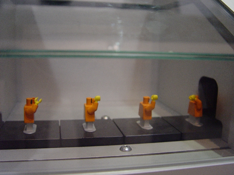 dsc05086.jpg