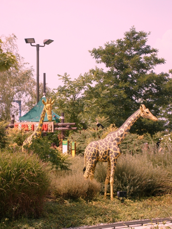 s7300185.jpg
