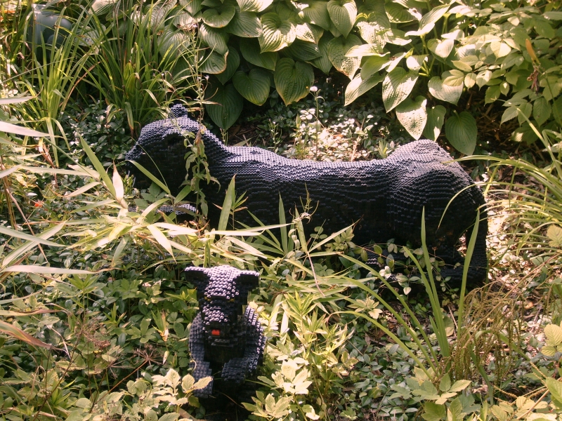 s7300205.jpg