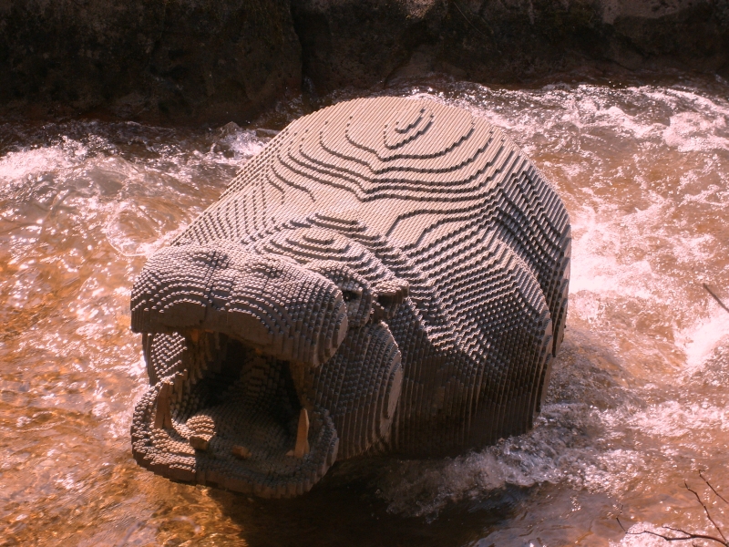 s7300206.jpg