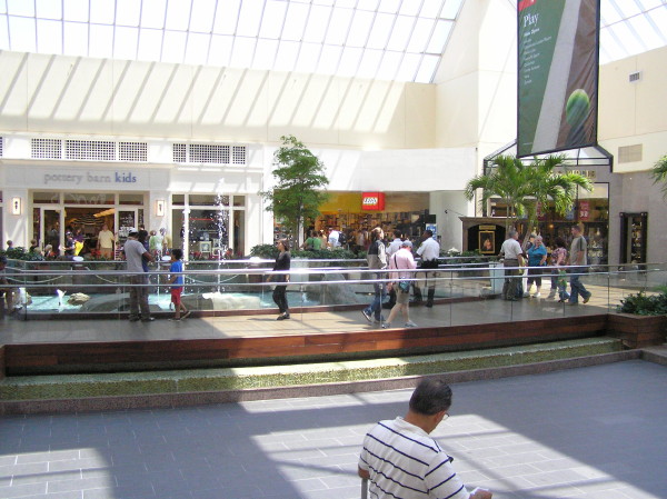2009-06-07-015.jpg