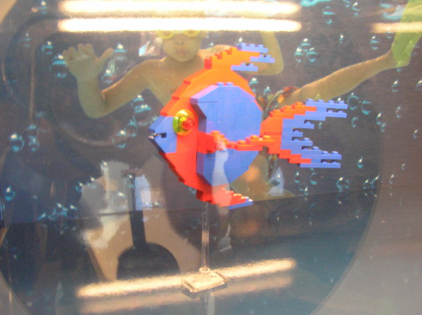 2009-06-07-018.jpg