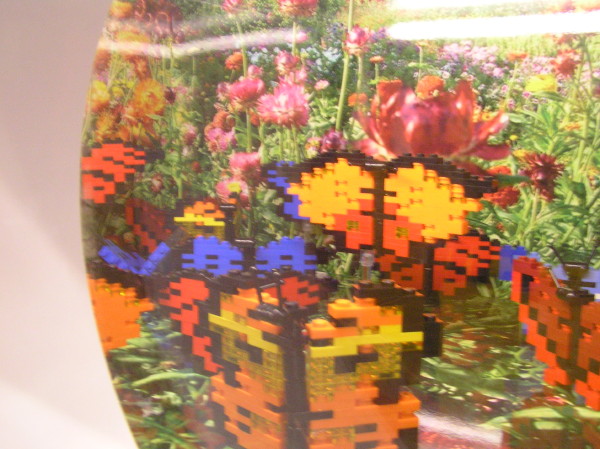 2009-06-07-035.jpg