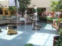 2009-06-07-100.jpg