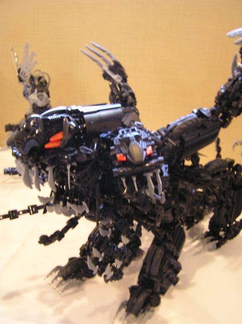 2008-08-30-586.jpg