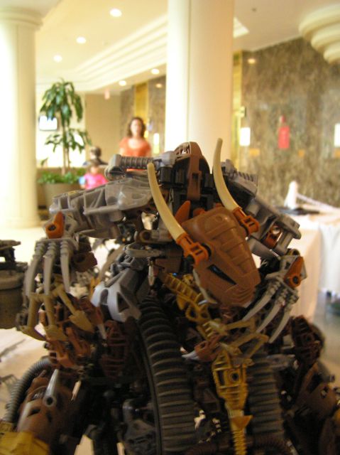 2008-08-30-600.jpg