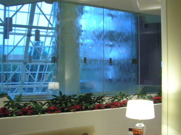 p8222784.jpg