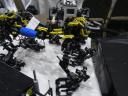 p8222607.jpg