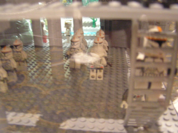 p8221983.jpg