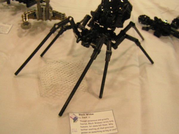 2010-08-07-0117.jpg