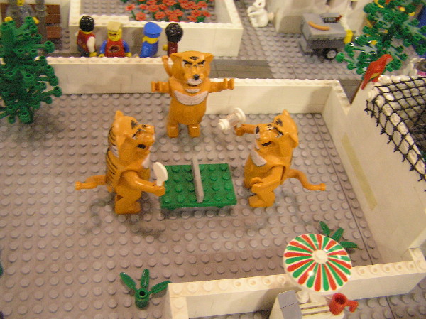 2010-08-07-1241.jpg