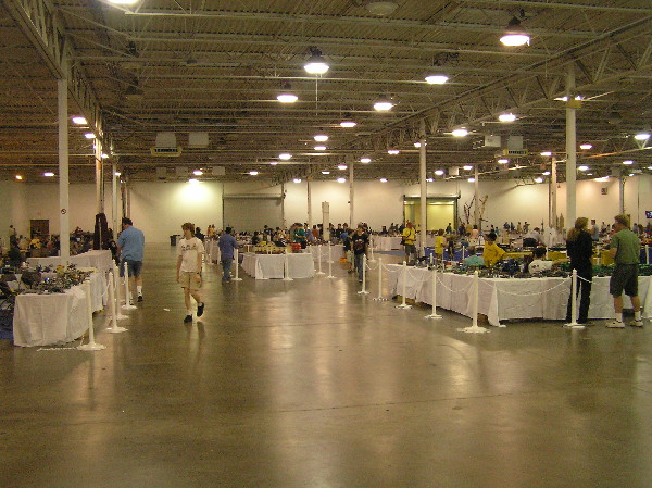 2010-08-07-1823.jpg