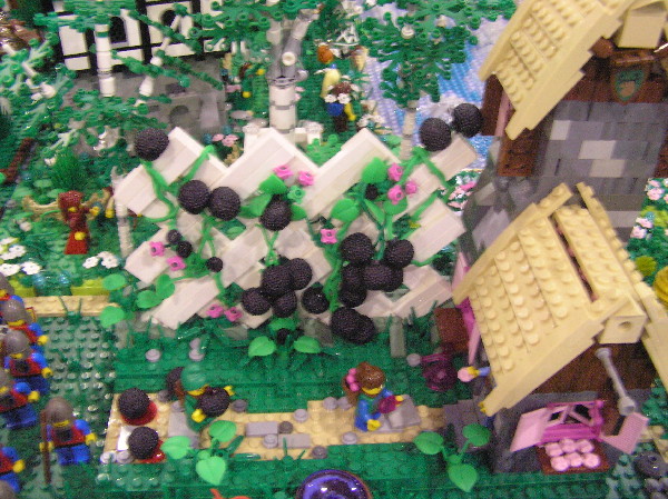 2012-08-04-0589.jpg
