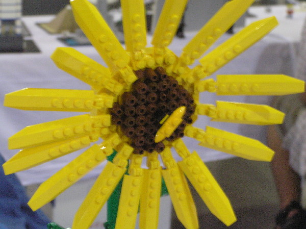 2012-08-04-1342.jpg