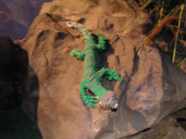 2010-05-15-088.jpg
