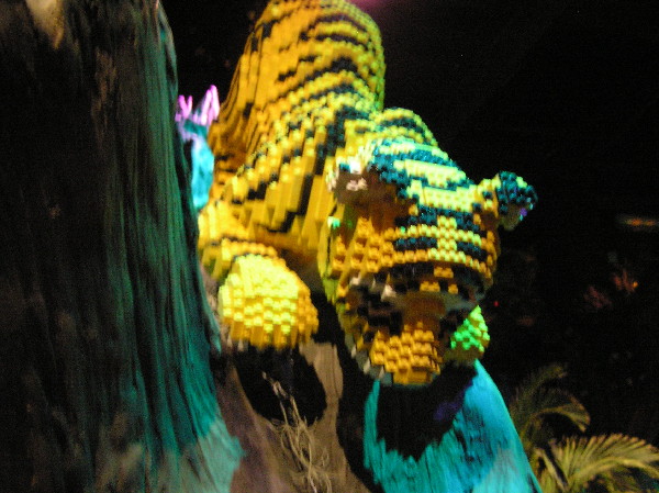 2010-05-15-098.jpg