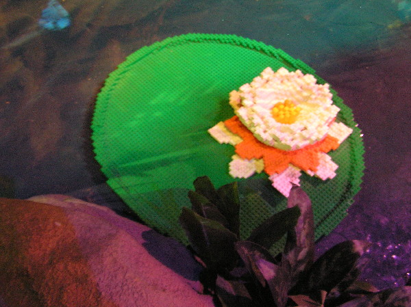 2010-05-15-101.jpg
