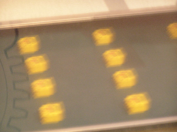 2010-05-15-219.jpg