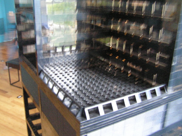 2010-08-15-159.jpg