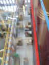 2010-08-08-017.jpg