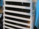 2010-08-15-138.jpg