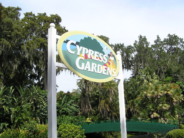 cypress-01.jpg